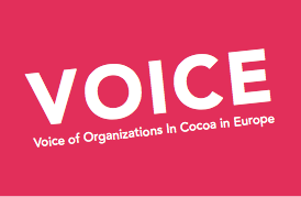 Voice Logo
