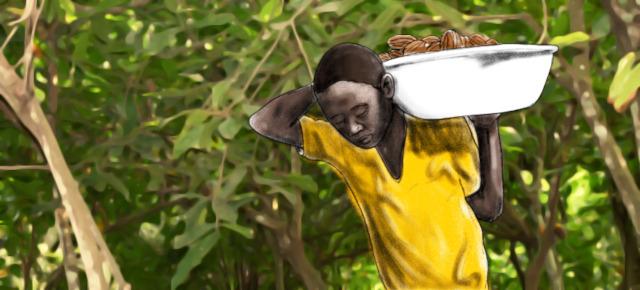 Kinderarbeit: Grafik von einem Jungen, der eine große Schüssel mit schweren Kakaoschoten trägt.